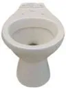 Toilet Bowl (Hueso)